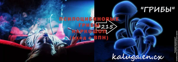 стаф Володарск