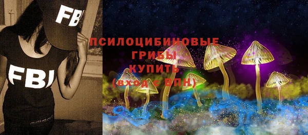 молекула духа Верхний Тагил
