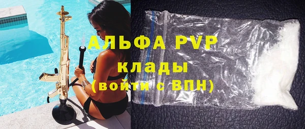 стаф Верея
