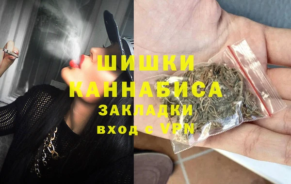 стаф Верея