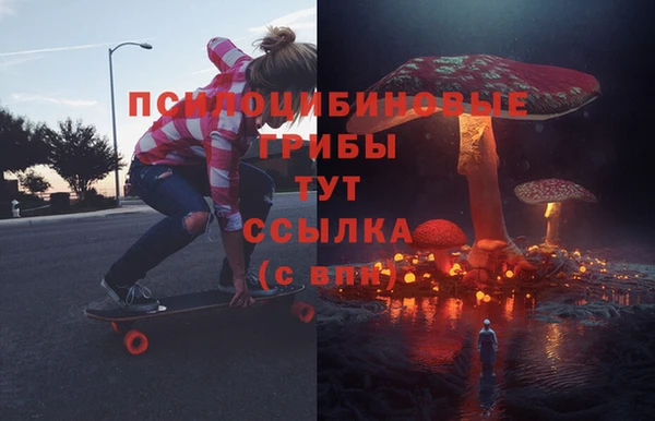стаф Володарск