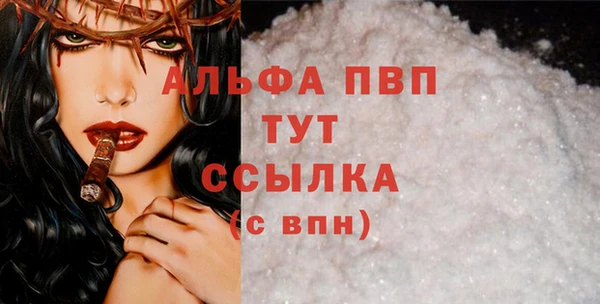 стаф Володарск